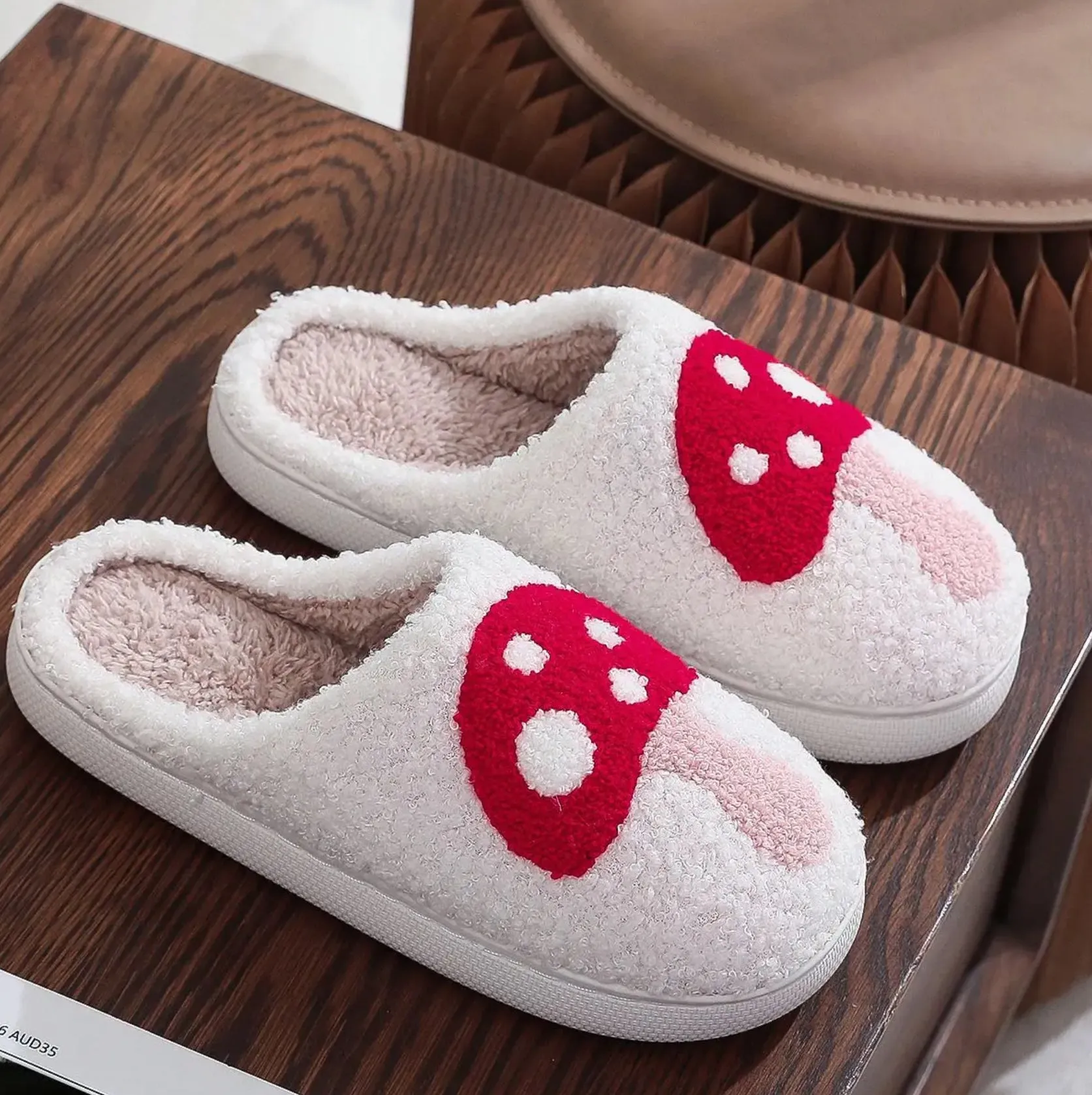 Character Slippers